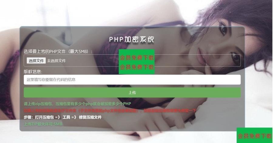 最新php项目加密源码