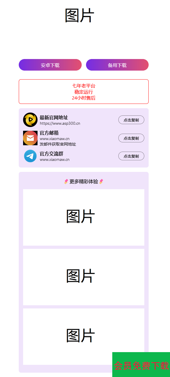 2024首发最火的软件宣传单页源码